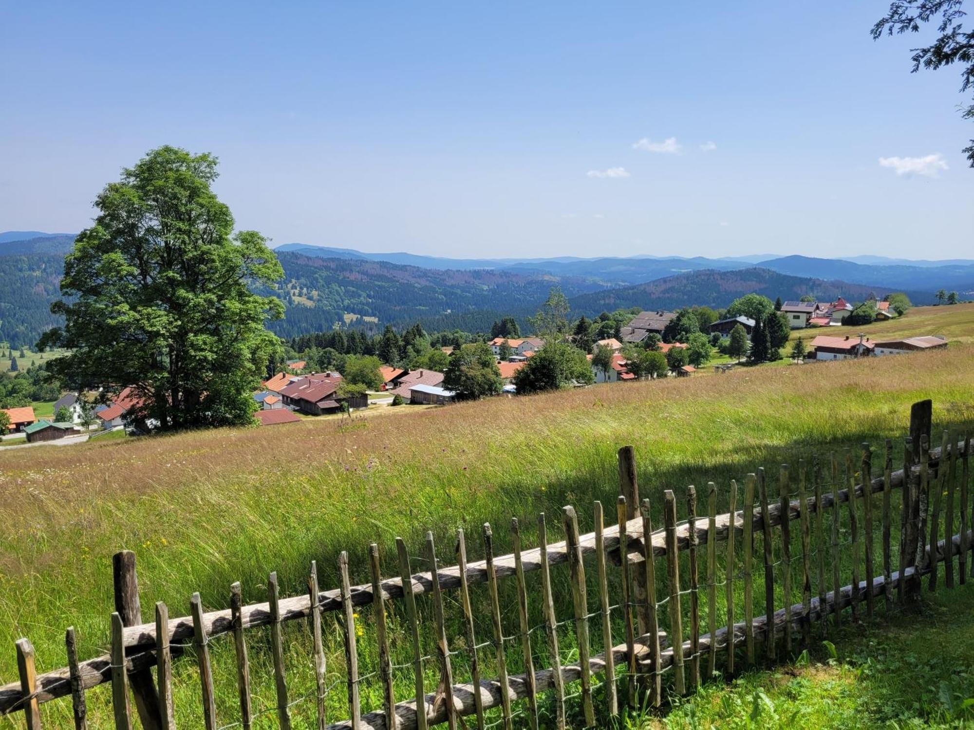 Apartment Mitterdorf - Almberg *