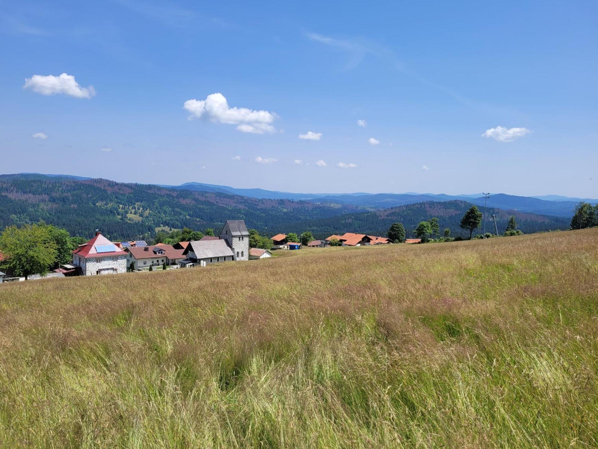Mitterdorf - Almberg *