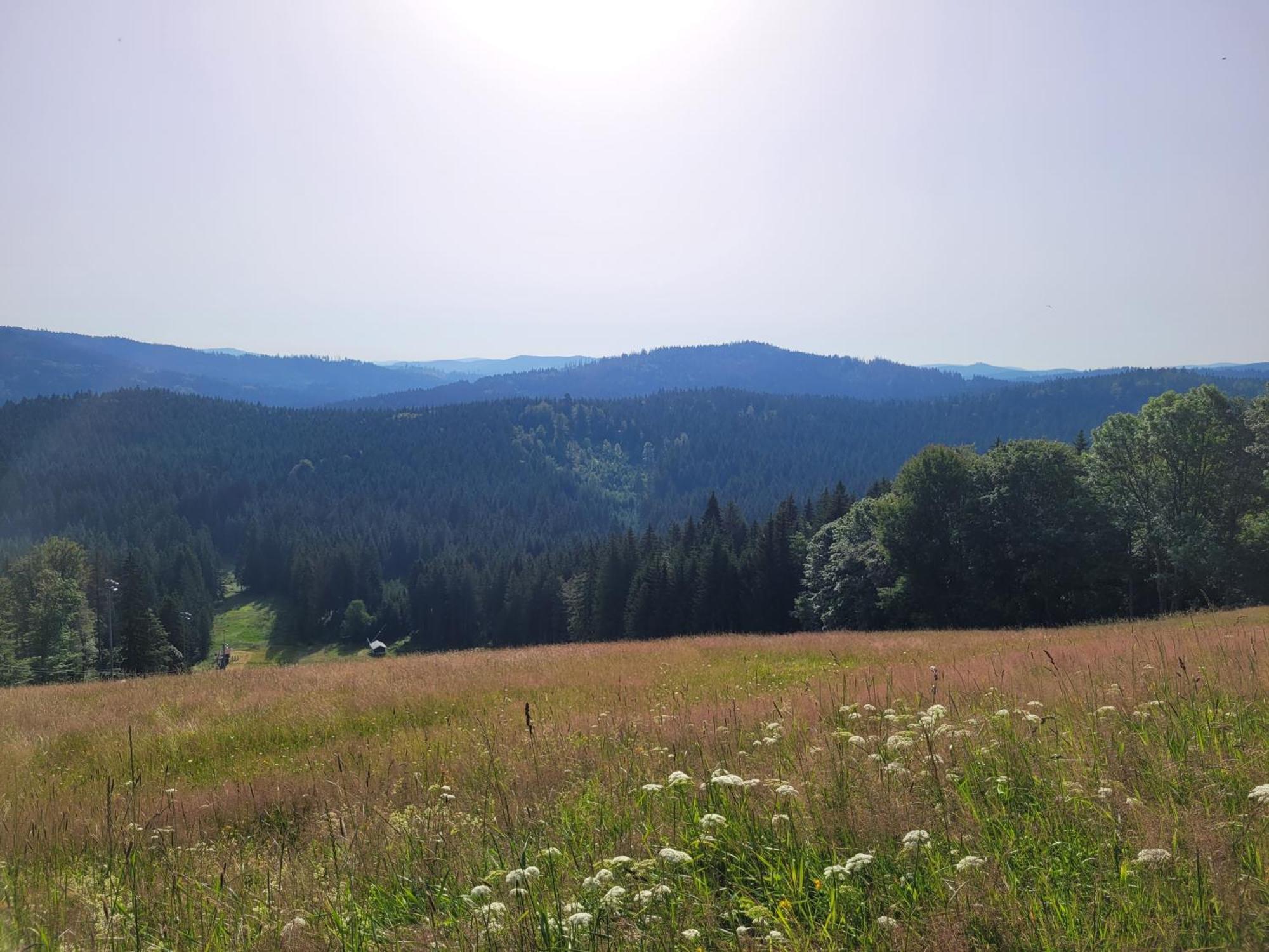Mitterdorf - Almberg *